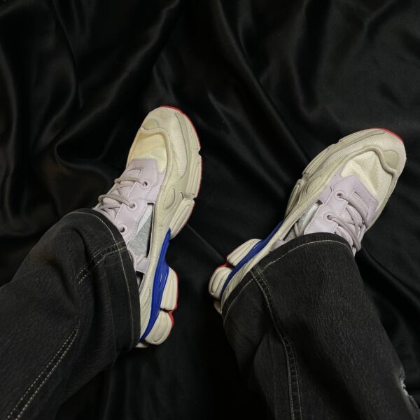 IMG_4709 Кроссовки Adidas Raf Simons Ozweego Replicant USA