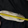 Кроссовки Off-White Women's 3.0 Low Floating Arrow